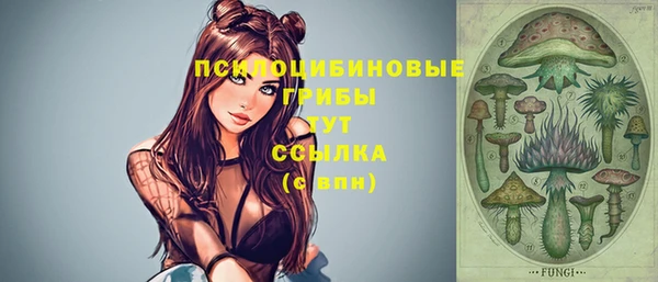меф Алапаевск