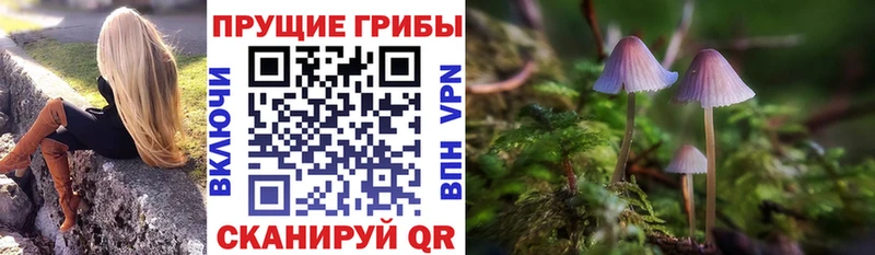 Галлюциногенные грибы Cubensis  Скопин 