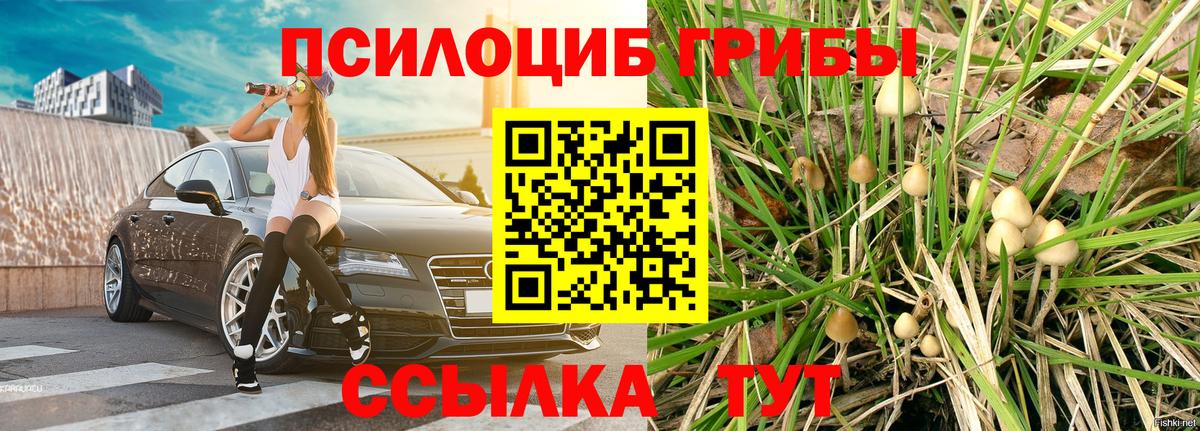 Псилоцибиновые грибы мицелий  Вход с VPN  Скопин 