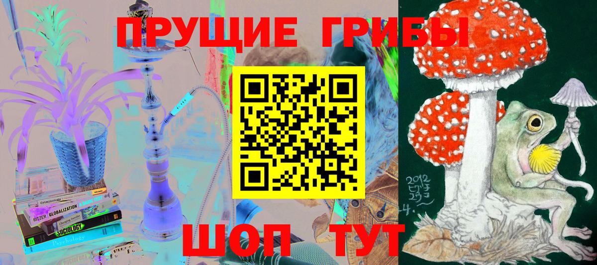 Галлюциногенные грибы Psilocybe Скопин